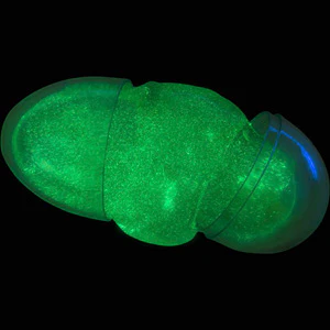 Glow Putty Egg 2.5in (12 pcs) - Image 3