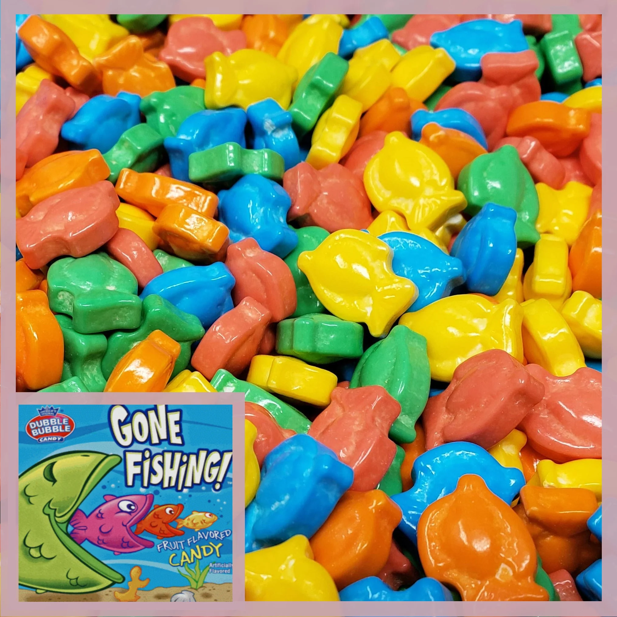 Gone Fishing Candy 25 LB