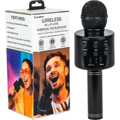 LED Karaoke Mic Speaker - Black (1ct.)