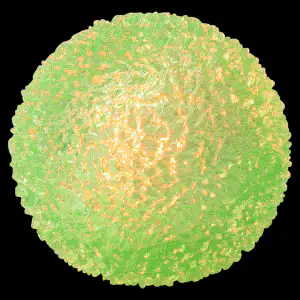 Light-Up Crystal Bounce Ball 2in Asst (12 pcs) - Image 4