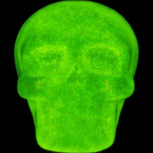 Skull Head Collection 6in (12pcs) - Image 3