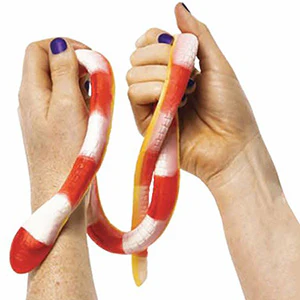 Snake Bitez Gummy Candy 7oz Display Box (9pcs) - Image 3
